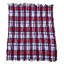 Plaid Red.webp