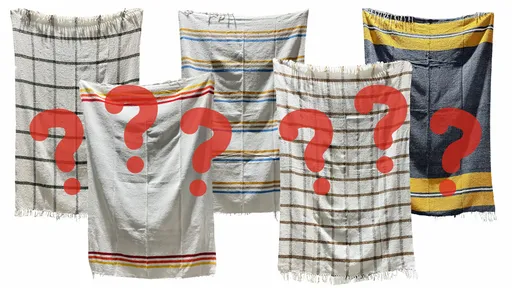 Mystery Economy Stripe Blankets